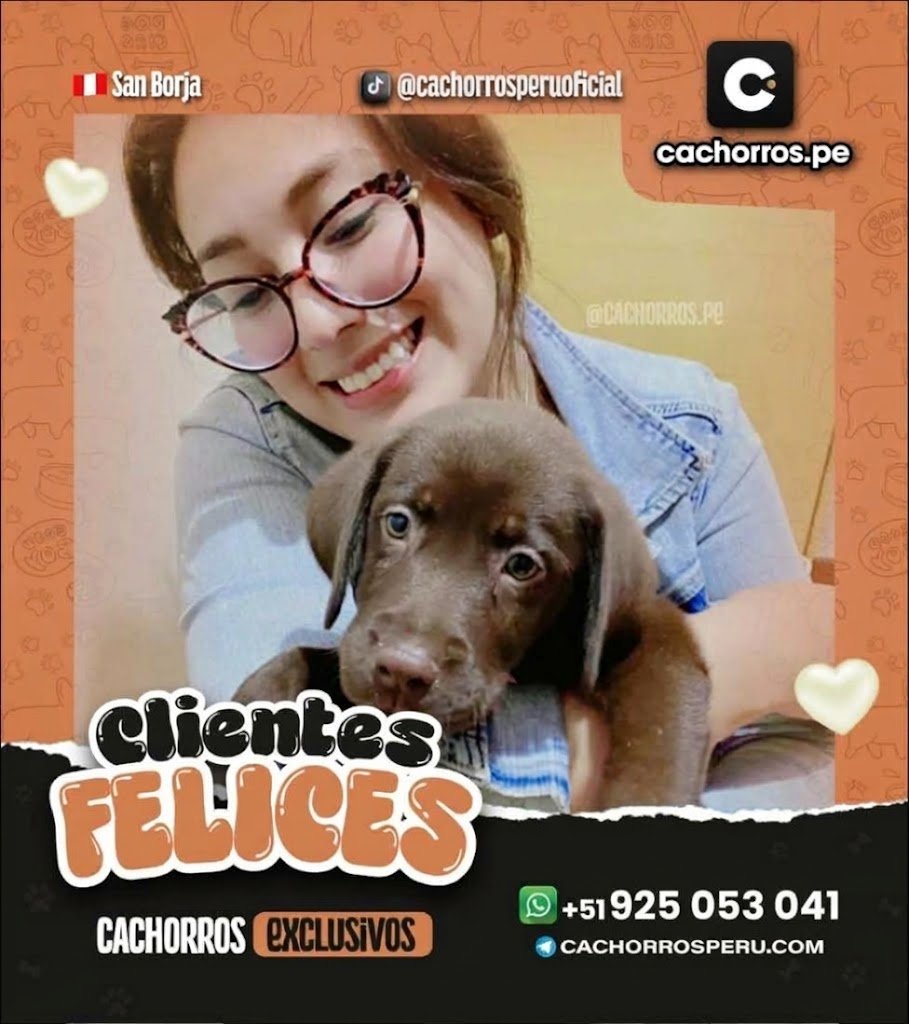 familia-feliz-2