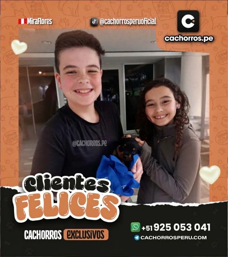 familia-feliz-3