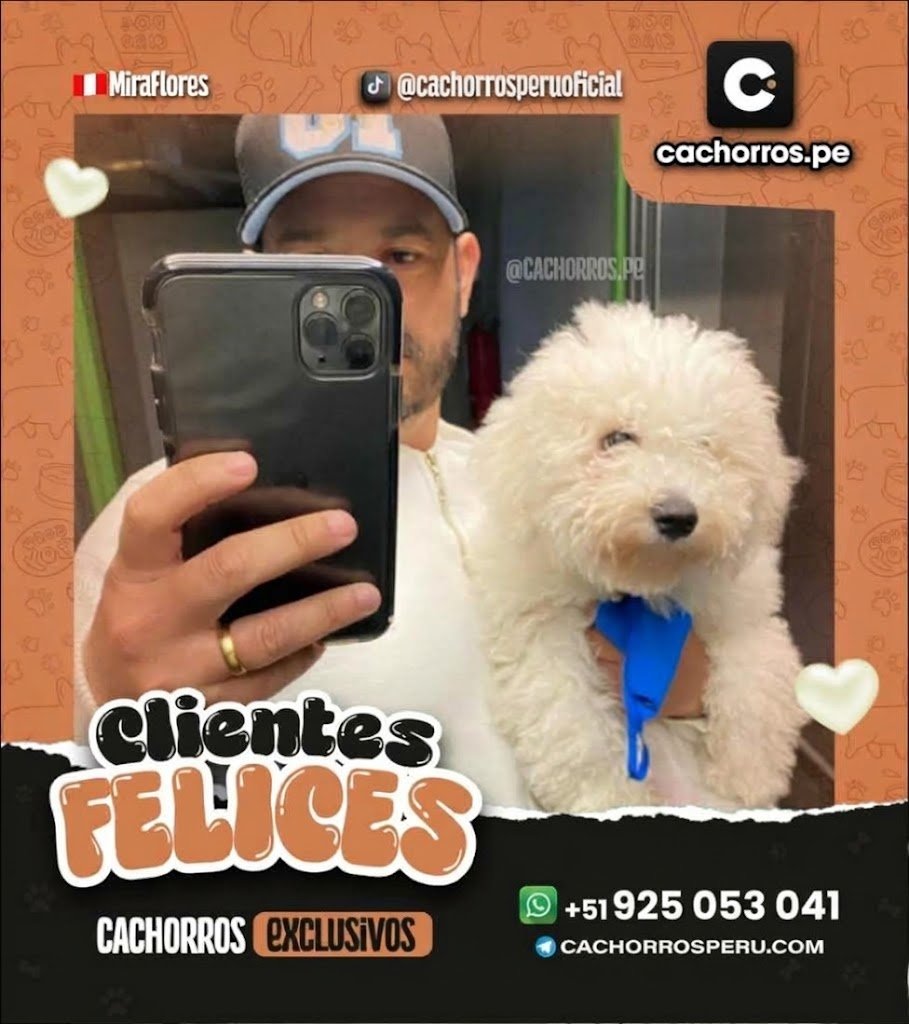 familia-feliz-7