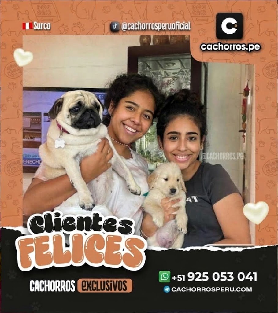 familia-feliz-8