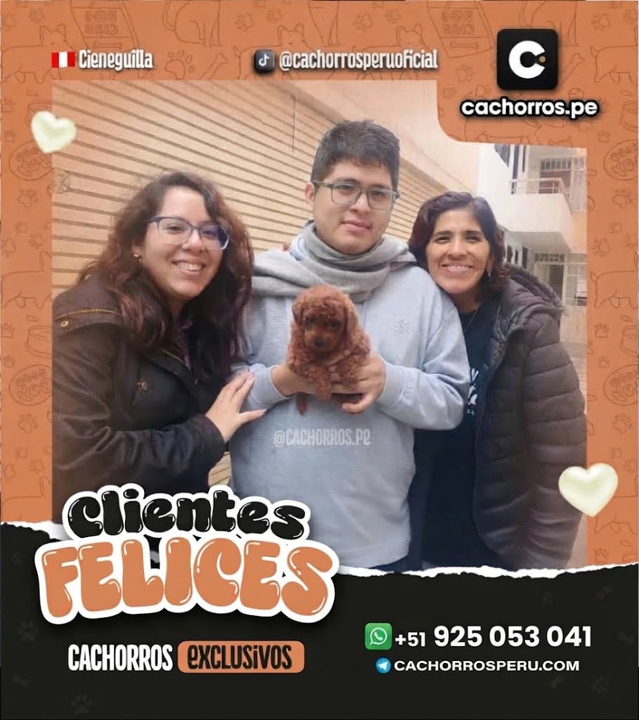 familia-feliz-9